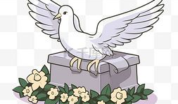 鸽子漫画图片,趣味横生的日常生活趣事